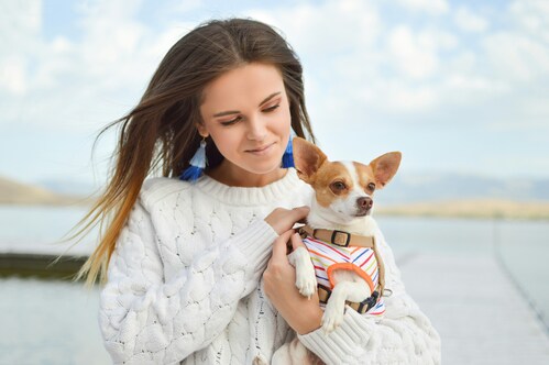 Exploring the Benefits of Using a Front-Clip Dog Harness